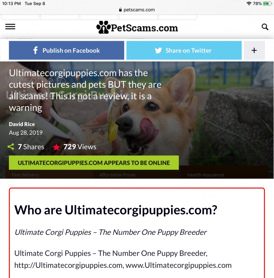 Ultimate Corgi Puppies 2020 Reports Reviews Scampulse Com
