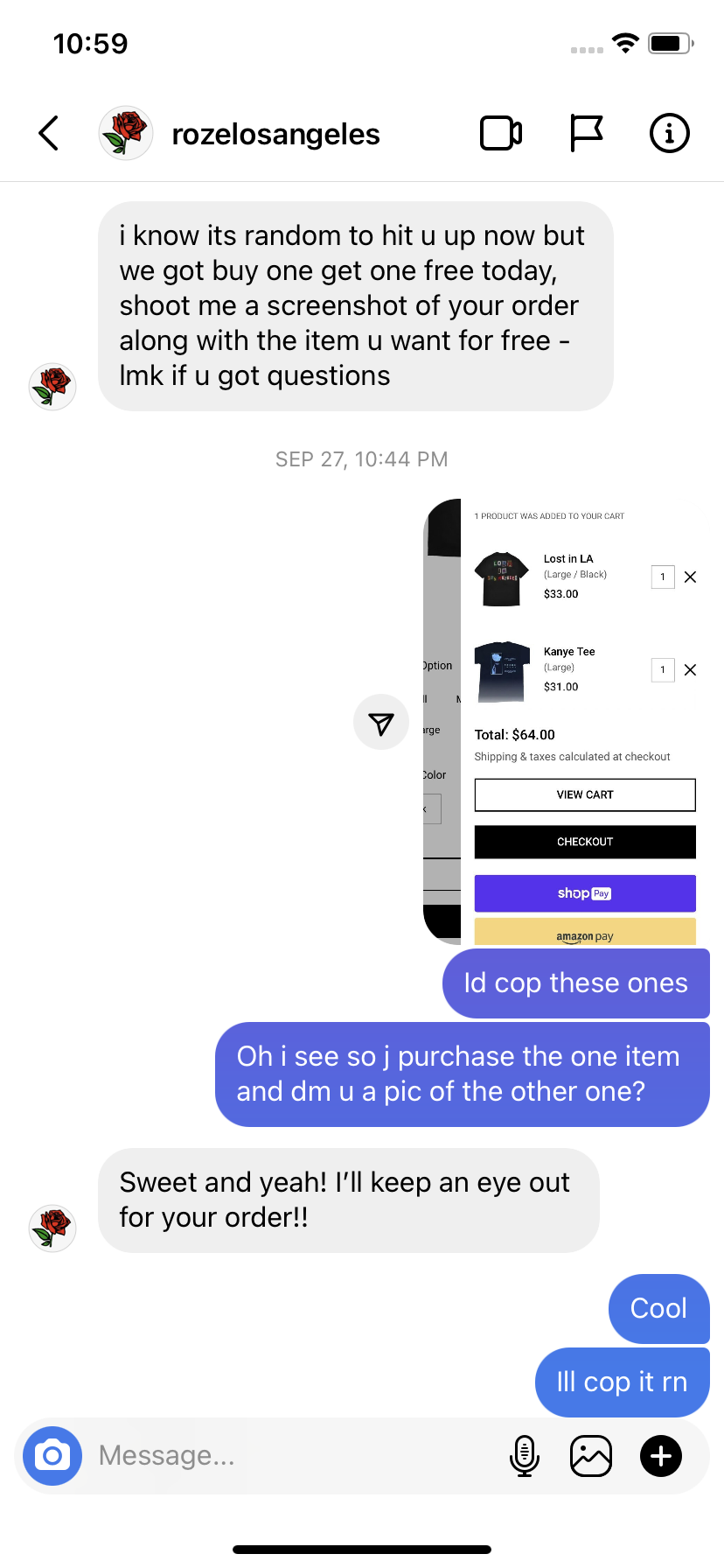 Roze Los Angeles Clothing 2021 Reports Reviews Scampulse Com