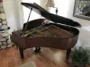 Piano Scam