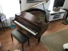 Piano Scam