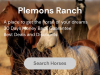 Plemons Ranch Scammer
