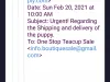 One stop teacup shop scam