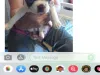 Puppies for sale/adoption SCAM