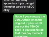 BULLDOG PUPPY SCAM