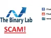 Thebinarylab.net - Julian Wong Exposed!