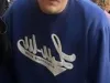 Alvaro Cervera Magallanes Emiliano Cervera Magallanes convicted felon scammers thieves