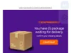 FedEx fraud