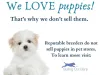My Next Puppy Sells Puppy Mill Puppies   ***LET THE BUYERS BEWARE ***
