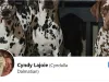 Cyn'ese Siamese Balinese, CindallaDalmatians, Windy Willow, Cyndy Lajoie - Cornwall
