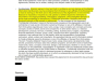 A Web of Frauds: Mr. Vitali's Multifaceted Deception