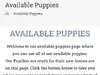 Premium Papilom pup scam