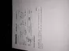 fake job scam
