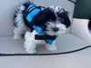 Report of Online Scam Using Fake Dog Sale