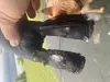 Unbreakable Bear Scam