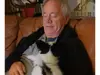 King Papillons