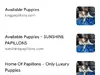 Multiple websites, multiple names, same puppies!