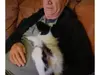 Multiple websites, multiple names, same puppies!