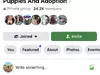 Facebook Group 'Golden Retriever Rescue Network/Rehoming Shelter Puppies and Adoption'