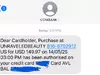 UNRAVELED BEAUTY CREDIT CARD SCAM