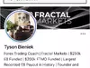 Fractal Markets / Tyson Bieniek - Public Warning