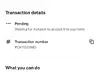 Pet scammers