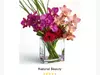 Photo 2 proof in review #17910968 about Blossom Flower Delivery